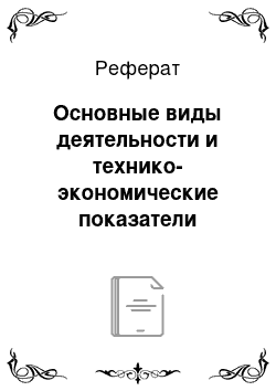 Реферат: Основные виды деятельности и технико-экономические показатели