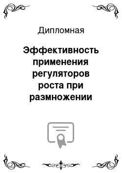 Дипломная: Эффективность применения регуляторов роста при размножении смородины черной одревесневшими черенками