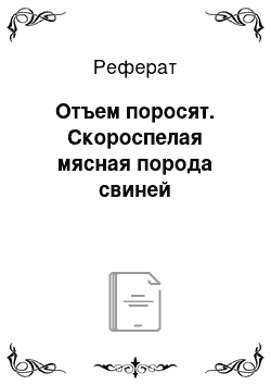 Реферат: Отъем поросят. Скороспелая мясная порода свиней