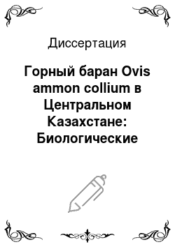 Диссертация: Горный баран Ovis ammon collium в Центральном Казахстане: Биологические основы сохранения