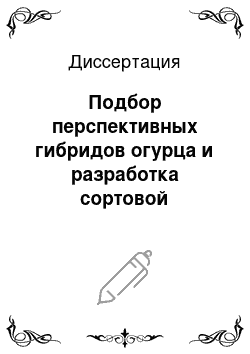 Диссертация: Подбор перспективных гибридов огурца и разработка сортовой агротехники для зимних блочных теплиц Дальнего Востока