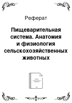 Реферат: Пищеварительная система. Анатомия и физиология сельскохозяйственных животных