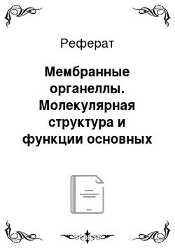 Реферат: Мембранные органеллы. Молекулярная структура и функции основных компонентов клетки