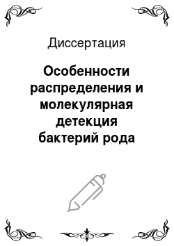 Диссертация: Особенности распределения и молекулярная детекция бактерий рода Caulobacter озера Байкал