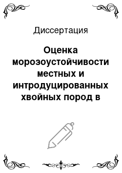 Диссертация: Оценка морозоустойчивости местных и интродуцированных хвойных пород в условиях Южного Приморья