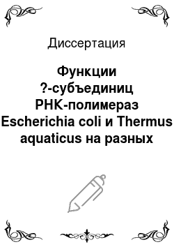 Диссертация: Функции ?-субъединиц РНК-полимераз Escherichia coli и Thermus aquaticus на разных стадиях транскрипции