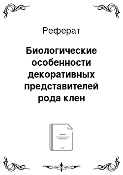 Реферат: Биологические особенности декоративных представителей рода клен