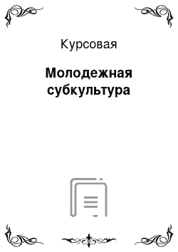 Курсовая: Молодежная субкультура