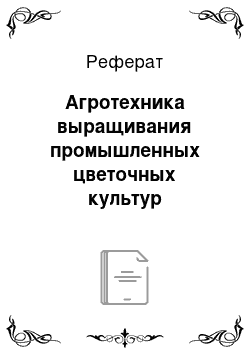 Реферат: Агротехника выращивания промышленных цветочных культур