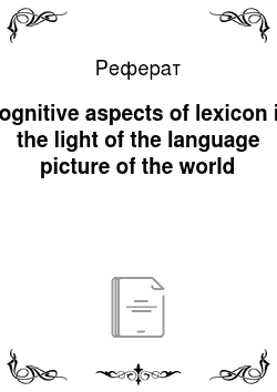 Реферат: Cognitive aspects of lexicon in the light of the language picture of the world