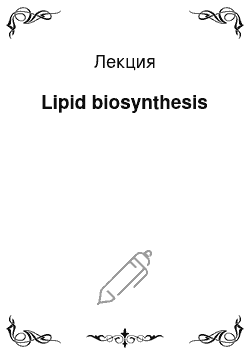 Лекция: Lipid biosynthesis