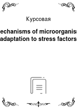 Курсовая: Mechanisms of microorganism adaptation to stress factors