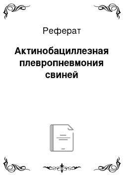 Реферат: Актинобациллезная плевропневмония свиней