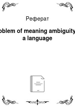 Реферат: Problem of meaning ambiguity in a language