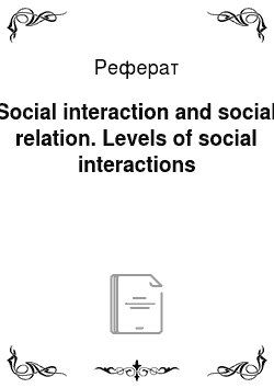 Реферат: Social interaction and social relation. Levels of social interactions