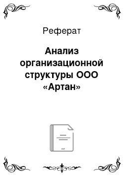 Реферат: Анализ организационной структуры ООО «Артан»