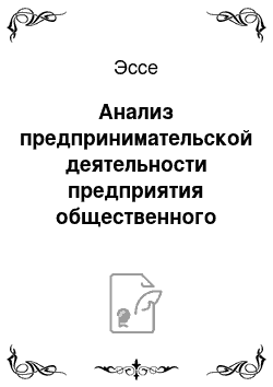 Эссе: Анализ предпринимательской деятельности предприятия общественного питания