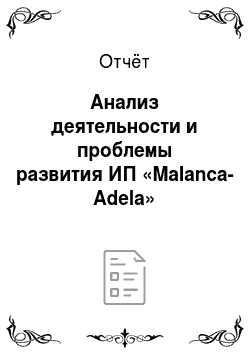 Отчёт: Анализ деятельности и проблемы развития ИП «Malanca-Adela»