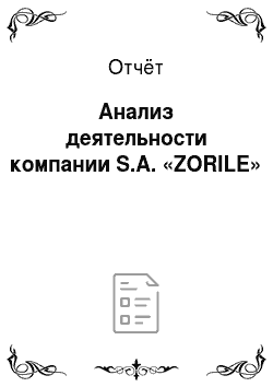 Отчёт: Анализ деятельности компании S.A. «ZORILE»