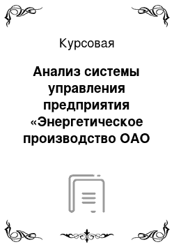 Курсовая: Анализ системы управления предприятия «Энергетическое производство ОАО НЛМК»