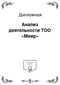 Дипломная: Анализ деятельности ТОО «Меир»