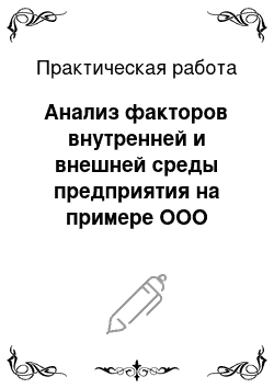 Практическая работа: Анализ факторов внутренней и внешней среды предприятия на примере ООО «Техстрой»