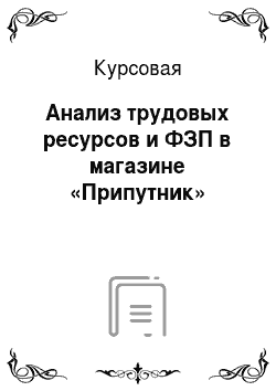 Курсовая: Анализ трудовых ресурсов и ФЗП в магазине «Припутник»