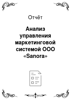 Отчёт: Анализ управления маркетинговой системой ООО «Sanora»