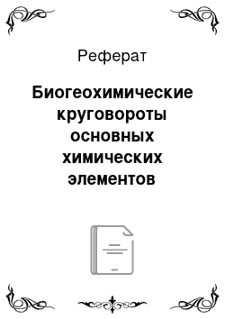 Реферат: Биогеохимические круговороты основных химических элементов