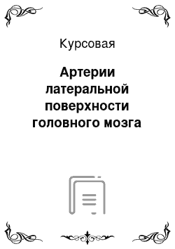 Курсовая: Артерии латеральной поверхности головного мозга