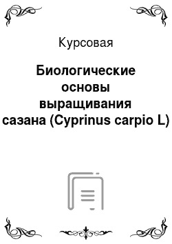 Курсовая: Биологические основы выращивания сазана (Cyprinus carpio L)