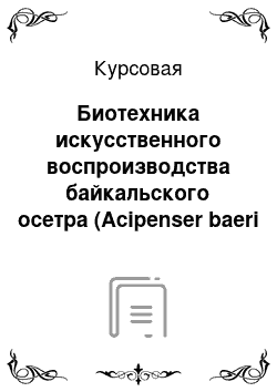 Курсовая: Биотехника искусственного воспроизводства байкальского осетра (Acipenser baeri baicalensis Brandt, 1869)