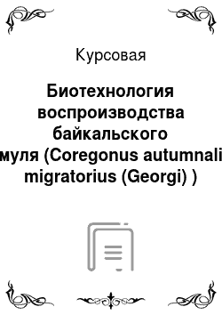Курсовая: Биотехнология воспроизводства байкальского омуля (Coregonus autumnalis migratorius (Georgi) )