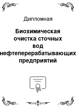 Дипломная: Биохимическая очистка сточных вод нефтеперерабатывающих предприятий