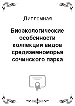 Дипломная: Биоэкологические особенности коллекции видов средиземноморья сочинского парка «Дендрарий»