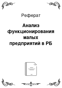 Реферат: Анализ функционирования малых предприятий в РБ