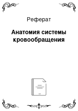 Реферат: Анатомия системы кровообращения