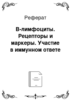 Реферат: В-лимфоциты. Рецепторы и маркеры. Участие в иммунном ответе