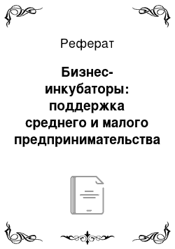 Реферат: Бизнес-инкубаторы: поддержка среднего и малого предпринимательства