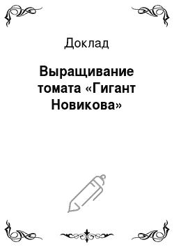 Доклад: Выращивание томата «Гигант Новикова»