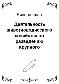 Бизнес-план: Деятельность животноводческого хозяйства по разведению крупного рогатого скота, промышленной птицы (кур, гусей) , свиноводству, кролиководству