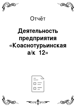 Отчёт: Деятельность предприятия «Коаснотурьинская а/к №12»