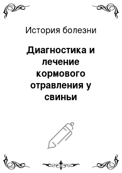 История болезни: Диагностика и лечение кормового отравления у свиньи