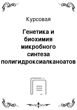 Курсовая: Генетика и биохимия микробного синтеза полигидроксиалканоатов