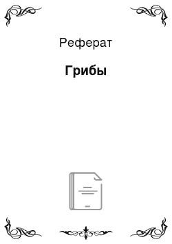 Реферат: Грибы