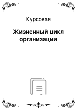 Курсовая: Жизненный цикл организации