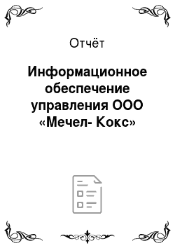 Отчёт: Информационное обеспечение управления ООО «Мечел-Кокс»