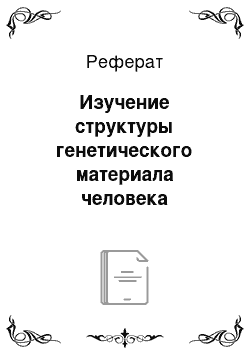 Реферат: Изучение структуры генетического материала человека