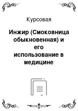 Курсовая: Инжир (Смоковница обыкновенная) и его использование в медицине