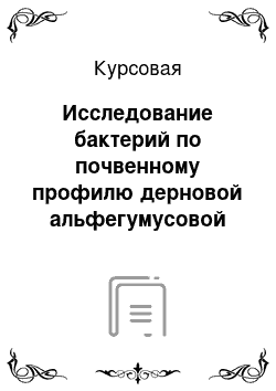 Курсовая: Исследование бактерий по почвенному профилю дерновой альфегумусовой глеевой почвы